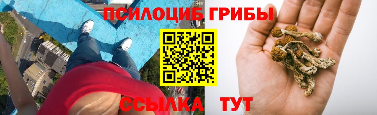 Мариинск  Галлюциногенные грибы мицелий  что такое наркотик  Вход с VPN 